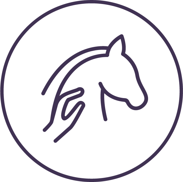 Equine Therapy Christchurch