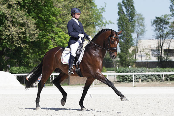 Divine Nature Equine Therapy Divine Nature NZ